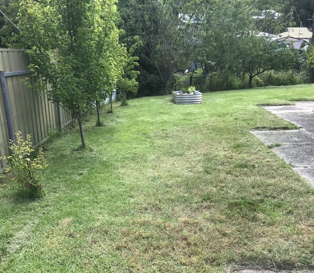 Overgrown lawn in Adelaide Hills after mowing by Hillcrest Property Services