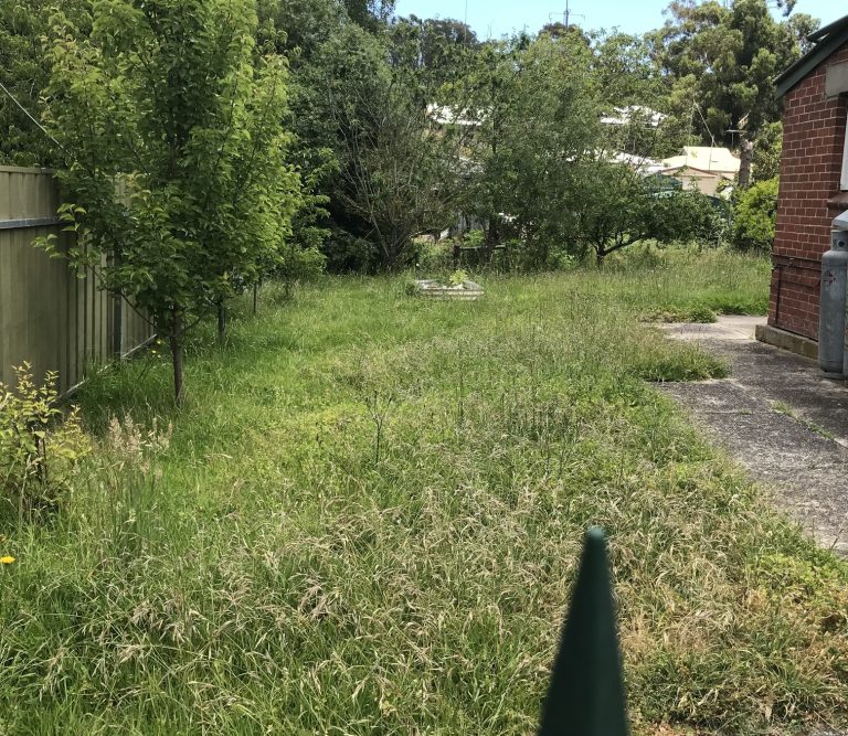 Overgrown lawn in Adelaide Hills before mowing by Hillcrest Property Services