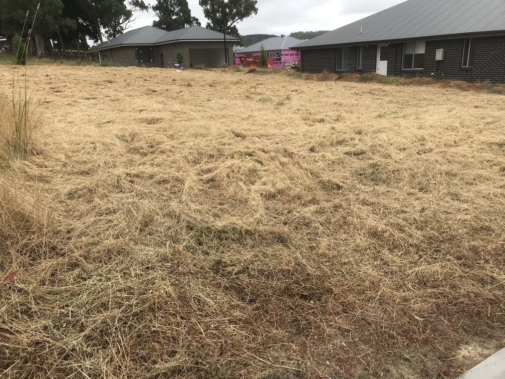 Overgrown lawn in Adelaide Hills after mowing by Hillcrest Property Services