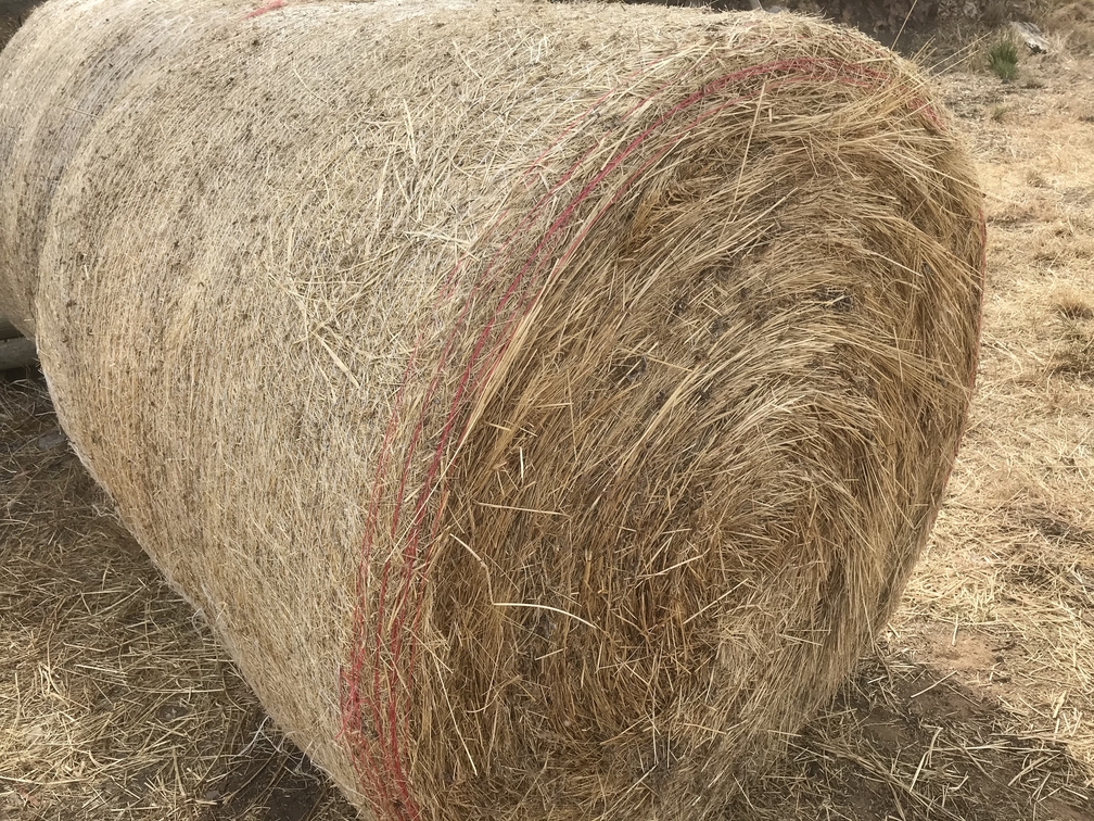 High quality meadow hay for sale in the Adelaide Hills