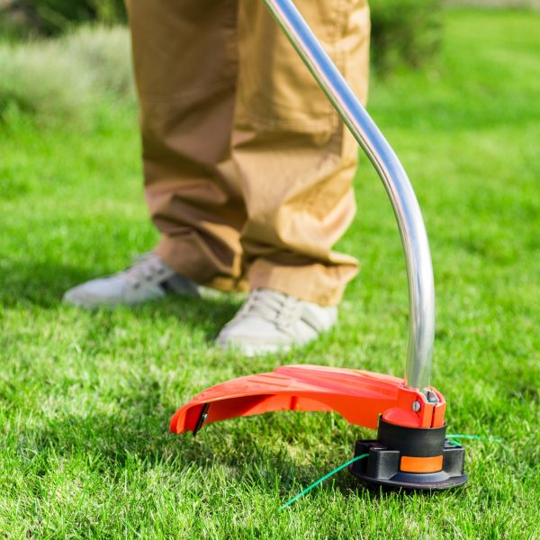 Weed trimming in Woodside, Adelaide Hills